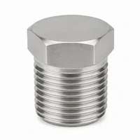 Stainless Steel 15 mm Dummy Plug with hex head and male threads on white background